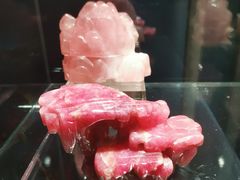 -中国地质博物馆