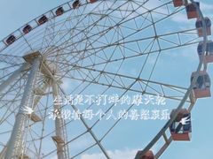 -顾村公园