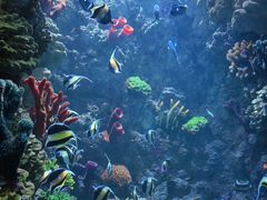-海合安青岛极地海洋公园