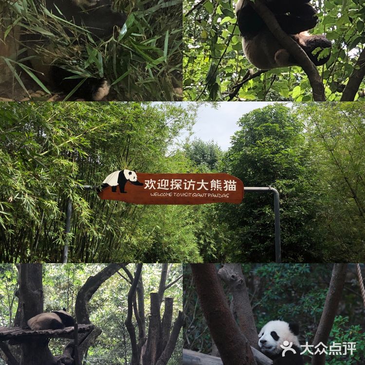 成都旅游攻略｜三天二夜亲子游必打卡景点