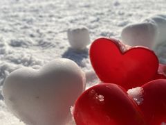 -北京鹿世界主题园