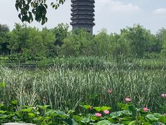 -西海子公园