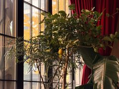 -The place那儿(新城国际店)