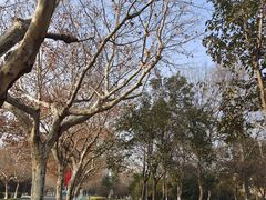 -南京航空航天大学(将军路校区)