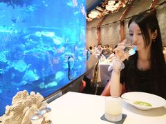 -迪拜帆船酒店海底餐厅