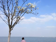 -阳澄湖半岛旅游度假区
