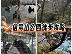 -信号山公园