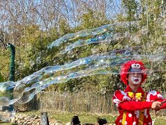 -HERRE·FARM 赫尔露营农场·团建聚会包场