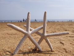 -天津东疆湾沙滩景区