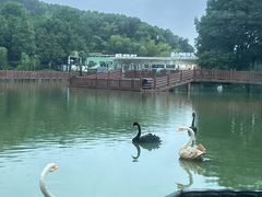 -无锡动物园·太湖欢乐园