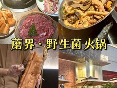 -蘑界·野生菌火锅(深业上城店)