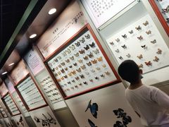 -吉林省自然博物馆