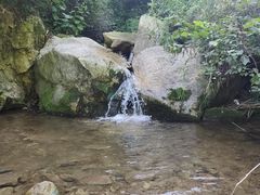 -抱龙峪