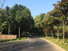 -宝界山林公园