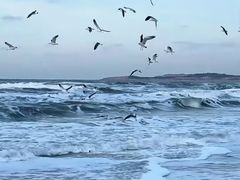 -威海国际海水浴场旅游区