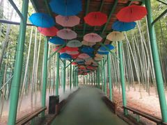 -陶祖圣境风景区