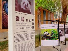 -西安电影制片厂