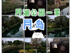 -月湖公园