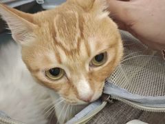 -德元·美联众合24小时动物医院(总院)