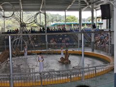 -泉州海丝野生动物世界