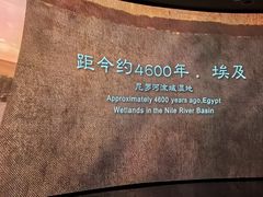 -中国湿地博物馆