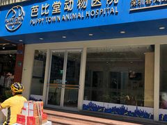 -芭比堂动物医院·24小时·眼科中心(深圳中心)