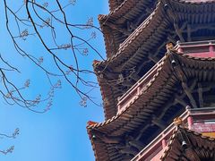 -天下玉苑