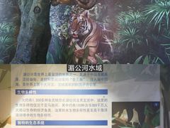 -上海海洋水族馆