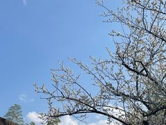 -原乡芦茨咖啡