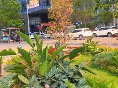 -深圳湾创业广场