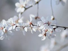 -三里河公园