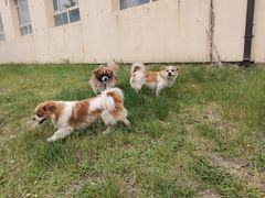 -长春市南湖公园