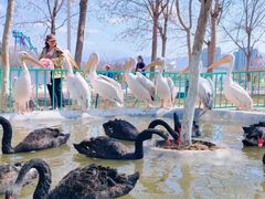 -水上乐园·欢乐世界