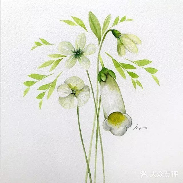 看大神用水彩画一整个后花园！