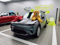 -上海浦东smart汽车全功能店(金桥店)