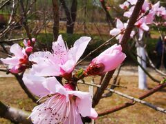 -白塘生态植物园