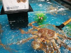 -盒马鲜生(曜一城店)