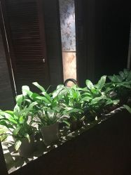 -贝黎诗SPA