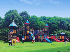 -秀丽东方