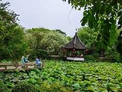 -上海醉白池公园