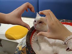 -平行世界·猫咖(首经贸店)