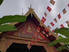 -西双版纳傣族园