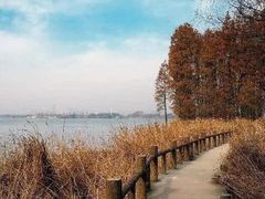 -东湖落雁景区