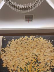 -舒雨 Salon·Beauty