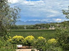 -北京张裕爱斐堡酒庄