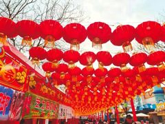 -天津方特欢乐世界