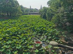 -东坡赤壁风景名胜区