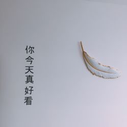 -YIMEI ART半永久纹眉·野生眉