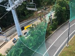 -圣淘沙天际线斜坡滑车