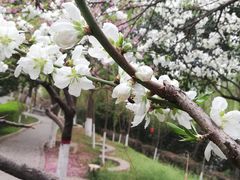 -西安汉城湖景区